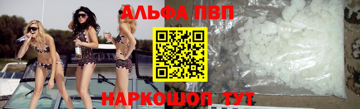A PVP СК Сунжа
