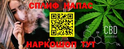 индика Будённовск