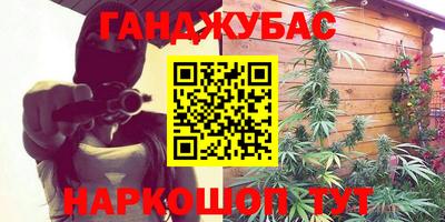 индика Будённовск