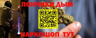 индика Будённовск
