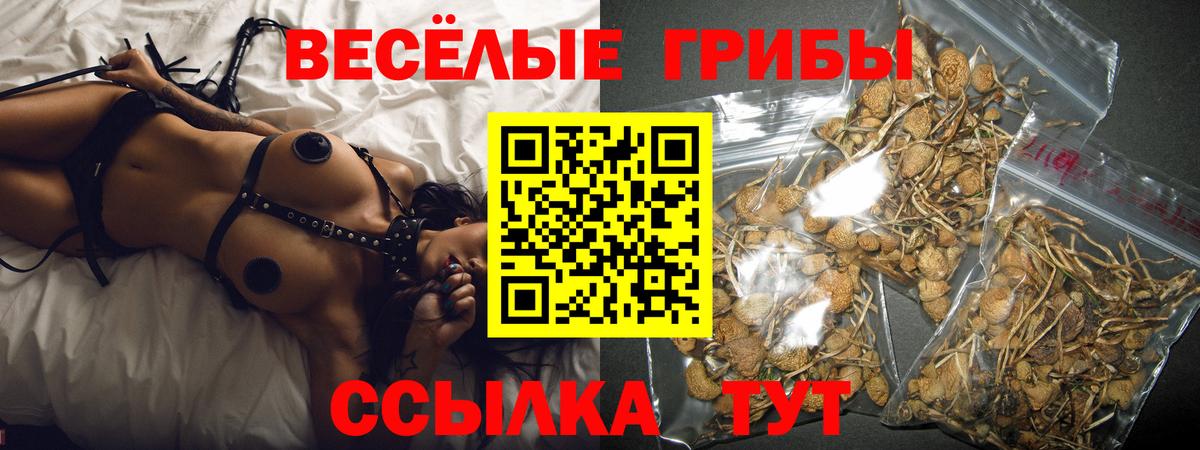 Псилоцибиновые грибы Psilocybe Сунжа