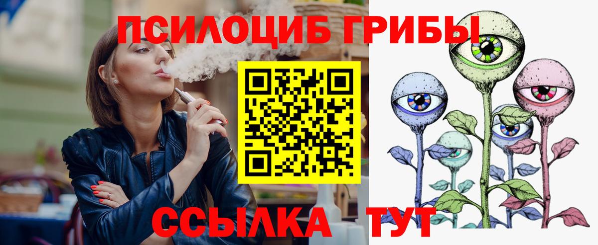 Сунжа  Галлюциногенные грибы Psilocybe  Вход с VPN 