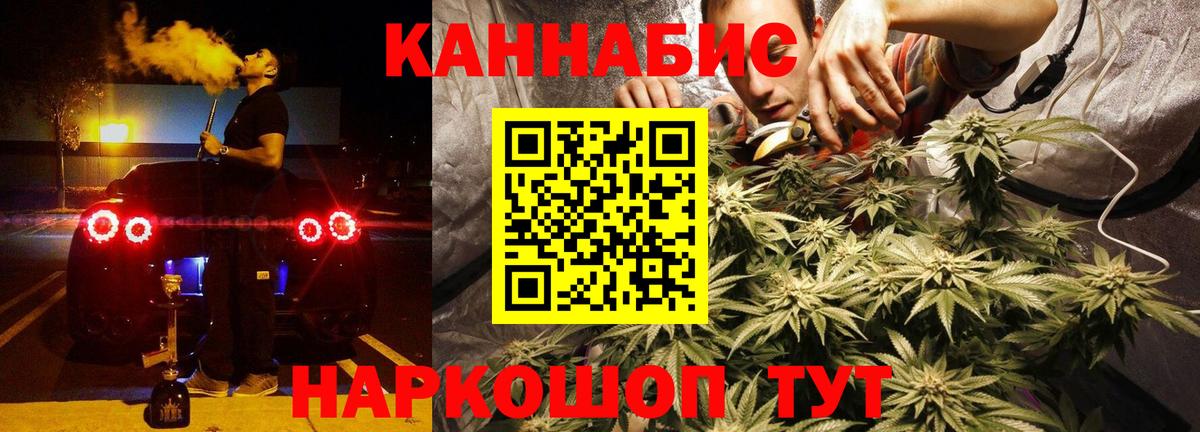 Канабис индика Сунжа